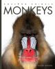 Book cover for "Monkeys".