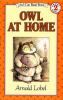 Book cover for "Owl at home"
