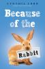 Book cover for "Because of the rabbit"