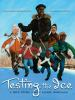 Book cover for "Testing the ice".