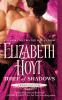 Book cover for "Thief of shadows".