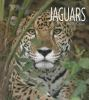 Book cover for "Jaguars".