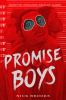 Book cover for "Promise boys"