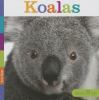 Book cover for "Koalas".