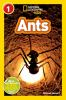 Book cover for "Ants".