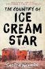 Book cover for "The country of Ice Cream Star"