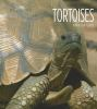 Book cover for "Tortoises".