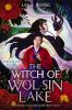 Book cover for "The witch of Wol Sin Lake".