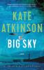 Book cover for "Big sky".