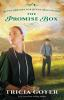 Book cover for "The promise box".