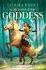 Book cover for "In the hand of the goddess".