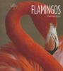 Book cover for "Flamingos".