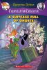 Book cover for "Suitcase full of ghosts".