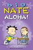 Book cover for "Big Nate".