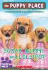 Book cover for "Sugar, gummi and lollipop".