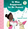 Book cover for "It was supposed to be sunny".