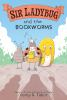 Book cover for "Sir Ladybug and the bookworms".
