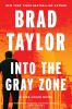 Book cover for "Into the gray zone".