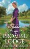 Book cover for "Hidden away at Promise Lodge".