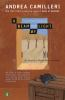 Book cover for "A beam of light".