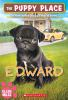 Book cover for "Edward".