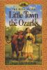 Book cover for "Little town in the Ozarks".
