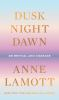 Book cover for "Dusk, night, dawn"