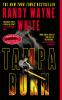 Book cover for "Tampa burn".