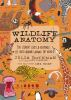 Book cover for "Wildlife anatomy"