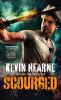 Book cover for "Scourged".