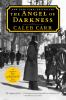 Book cover for "The angel of darkness".