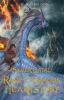 Book cover for "Race for the dragon heartstone".
