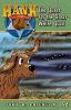 Book cover for "The quest for the great white quail".