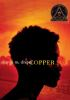 Book cover for "Copper sun"