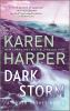 Book cover for "Dark storm".