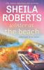 Book cover for "Winter at the beach".