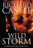 Book cover for "Wild Storm".