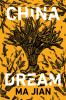 Book cover for "China dream".