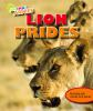 Book cover for "Lion prides".