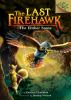 Book cover for "The Ember Stone: A Branches Book (the Last Firehawk #1)".