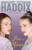 Book cover for "Palace of Mirrors".