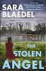 Book cover for "The stolen angel".