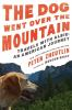 Book cover for "The dog went over the mountain"
