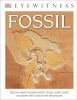 Book cover for "Fossil".