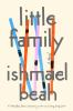 Book cover for "Little family"