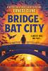Book cover for "Bridge to Bat City"