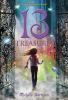 Book cover for "13 treasures"