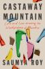 Book cover for "Castaway Mountain".