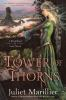 Book cover for "Tower of thorns".