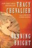 Book cover for "Burning bright"